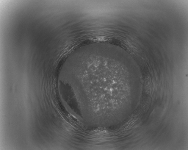 X0000064770747200602241953