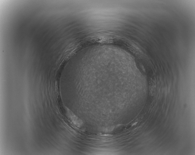 X0000064770748200602241953