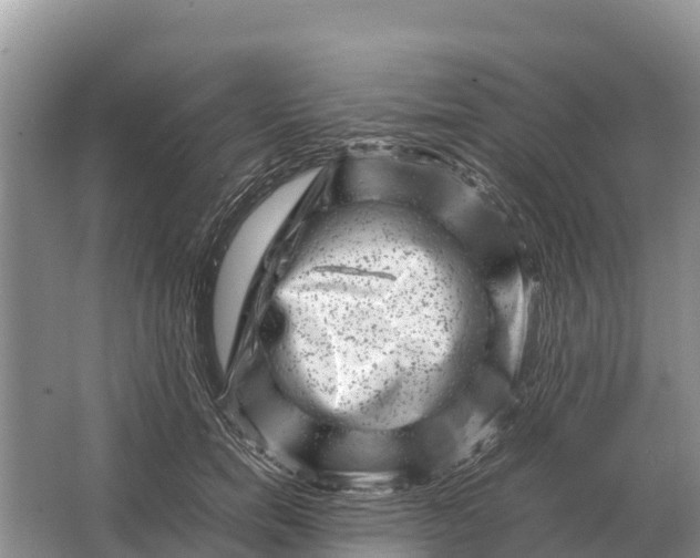 X0000064770750200602241953