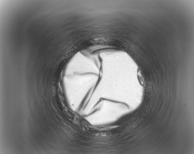 X0000064770751200602241953