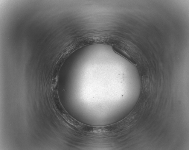 X0000064770752200602241953