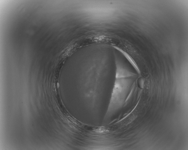 X0000064770754200602241953