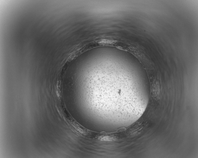 X0000064770755200602241953