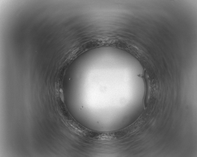 X0000064770756200602241953