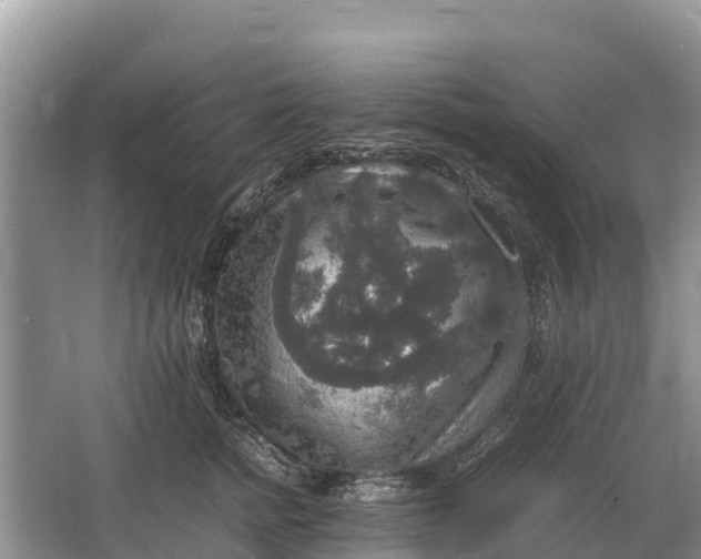 X0000064770758200602241953