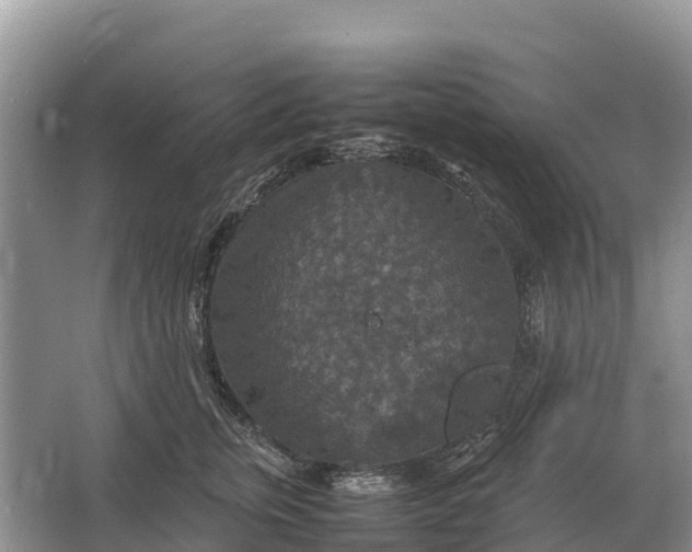 X0000064770759200602241953