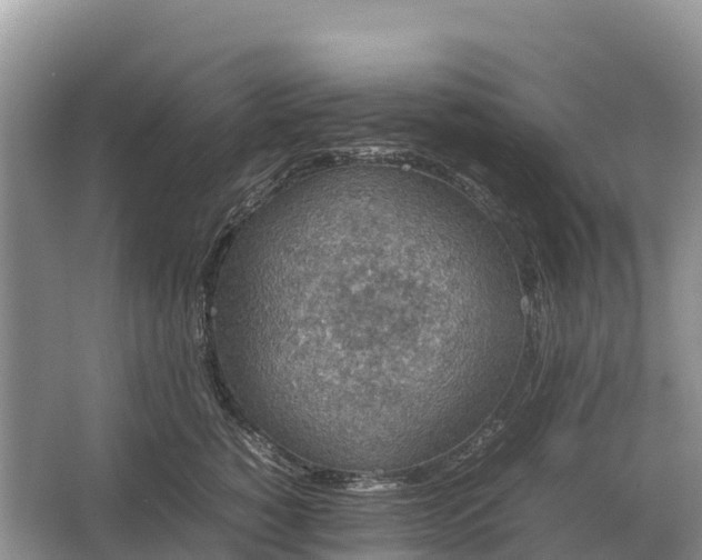 X0000064770760200602241953