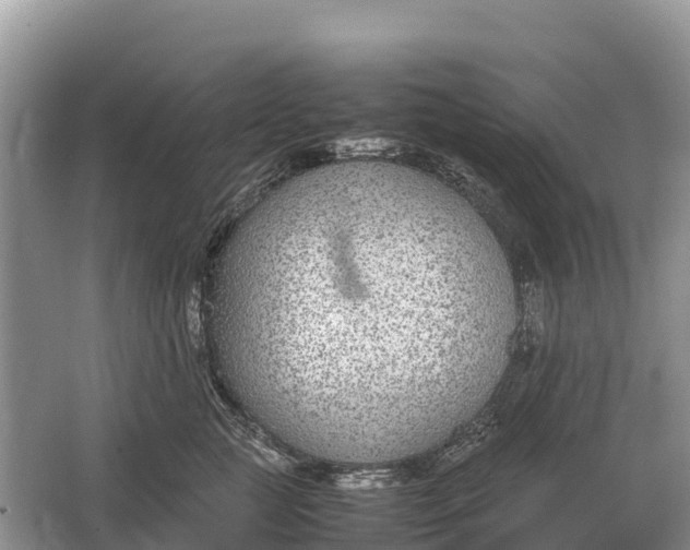 X0000064770761200602241953