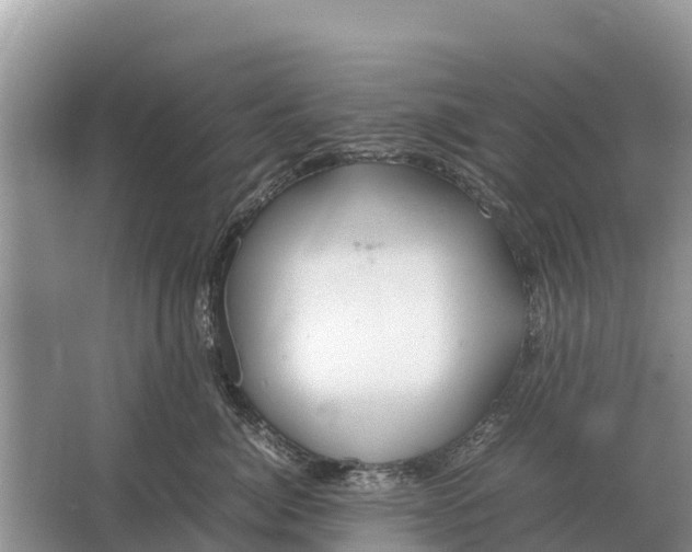 X0000064770764200602241953