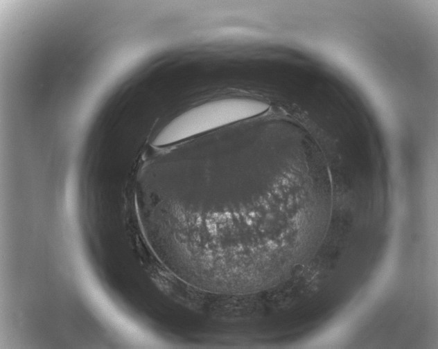 X0000064770765200602241953