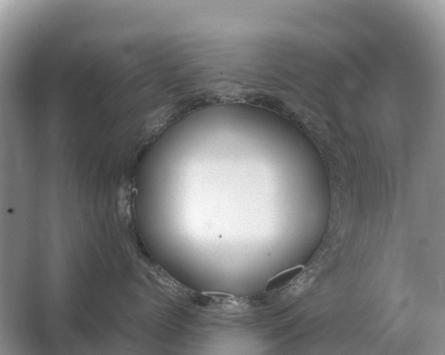 X0000064770768200602241953