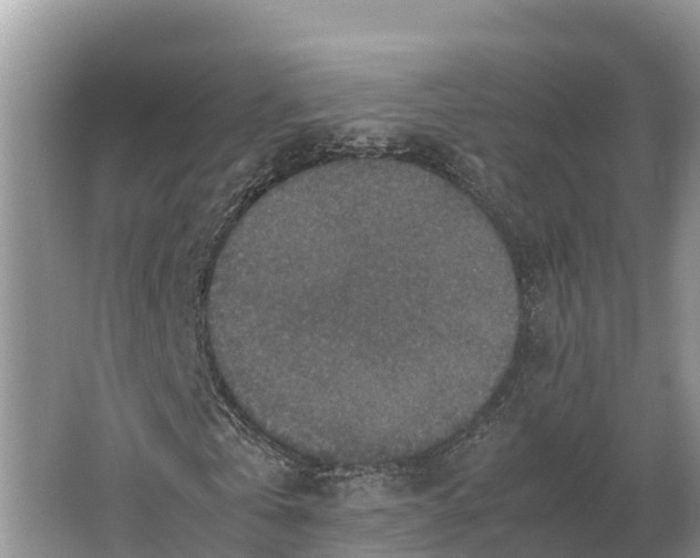 X0000064770769200602241952