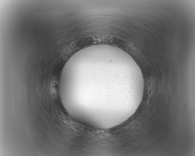 X0000064770770200602241952