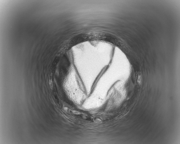 X0000064770771200602241952