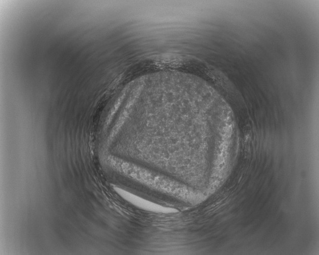 X0000064770772200602241952