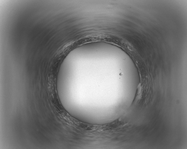 X0000064770773200602241952