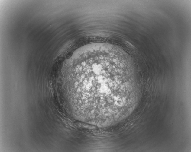 X0000064770774200602241952