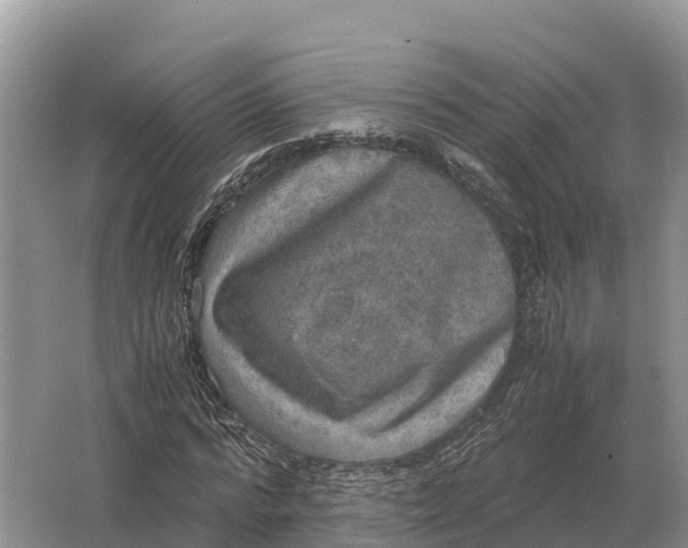 X0000064770776200602241952