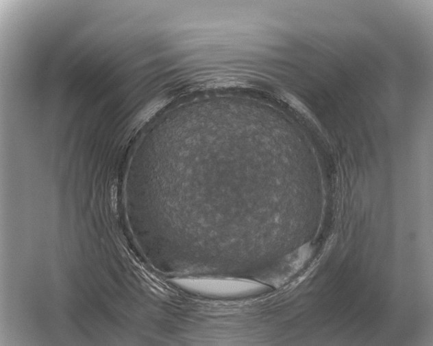 X0000064770777200602241952