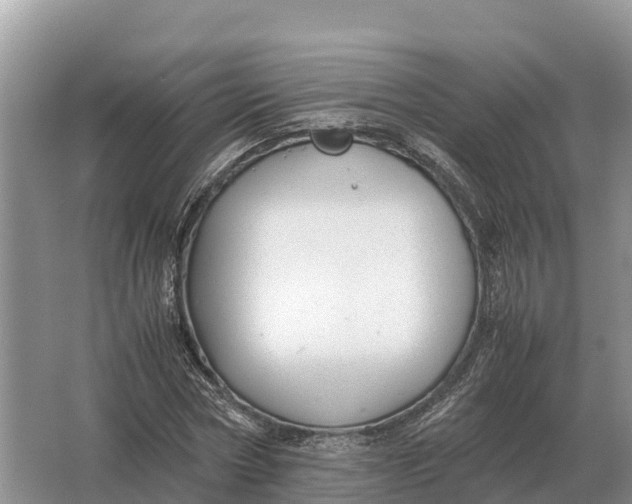 X0000064770778200602241952