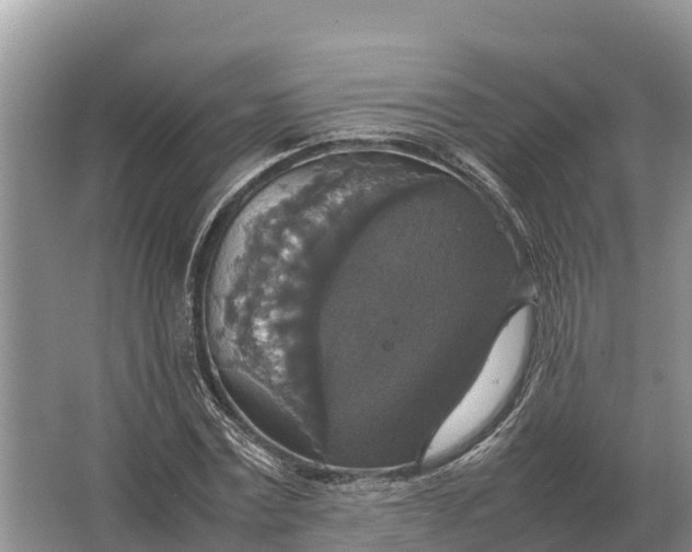 X0000064770779200602241952