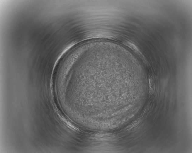 X0000064770780200602241952