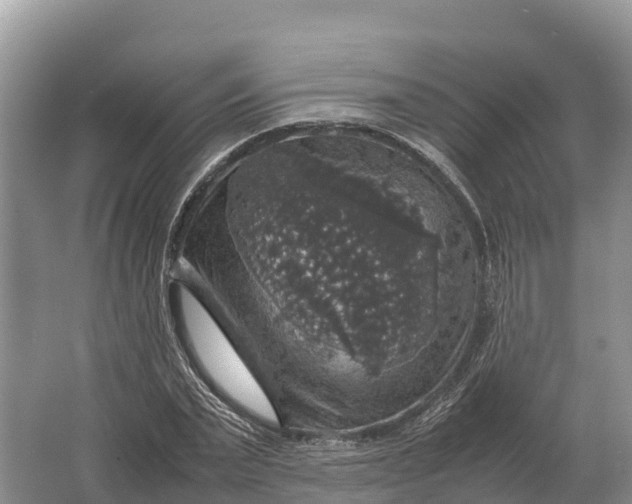 X0000064770783200602241952