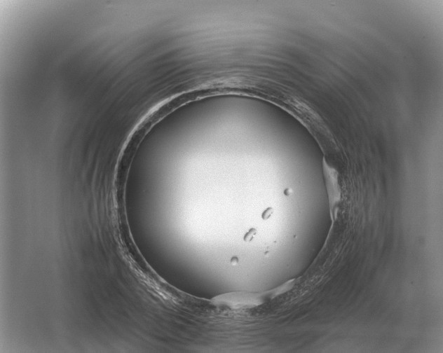 X0000064770784200602241952