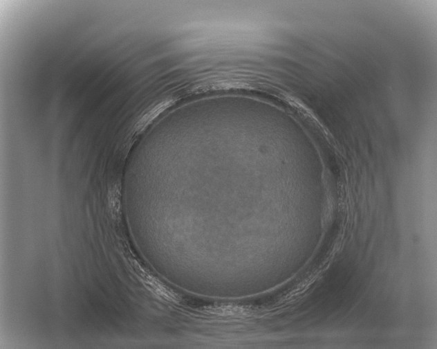 X0000064770785200602241952