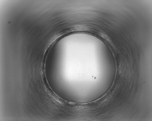 X0000064770786200602241952