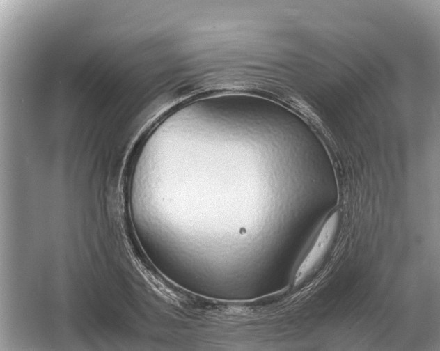 X0000064770787200602241952