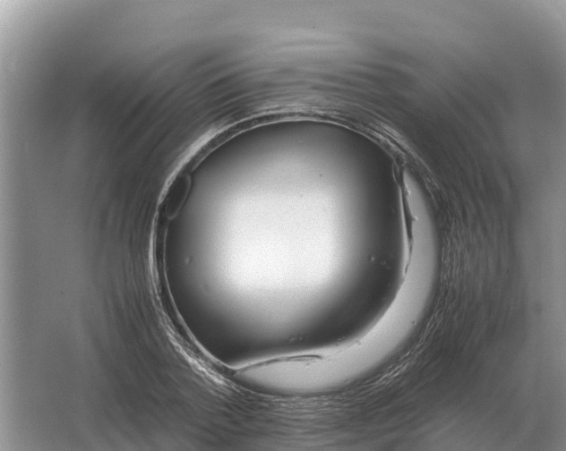 X0000064770788200602241952