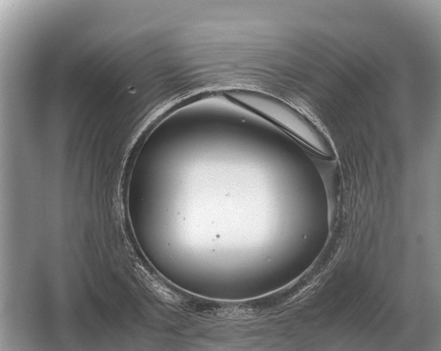 X0000064770789200602241952