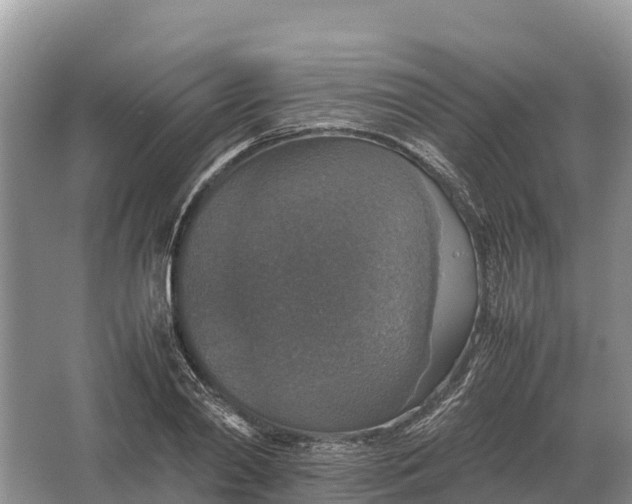 X0000064770790200602241952