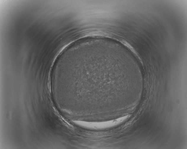 X0000064770791200602241952