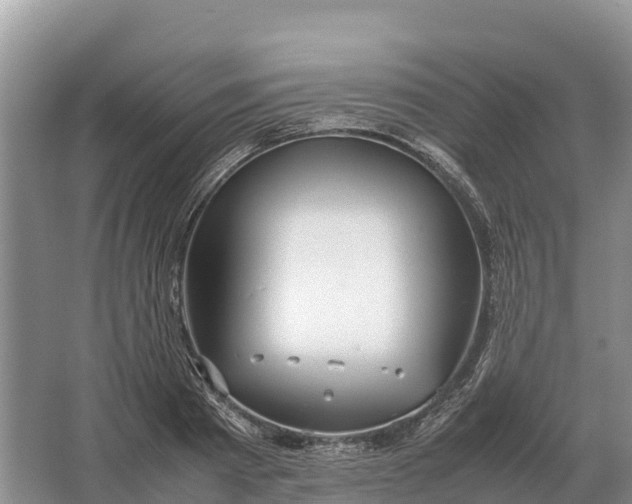 X0000064770793200602241952