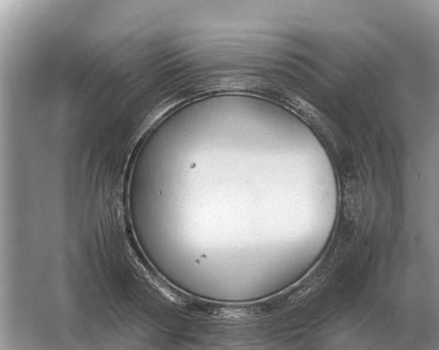 X0000064770794200602241952