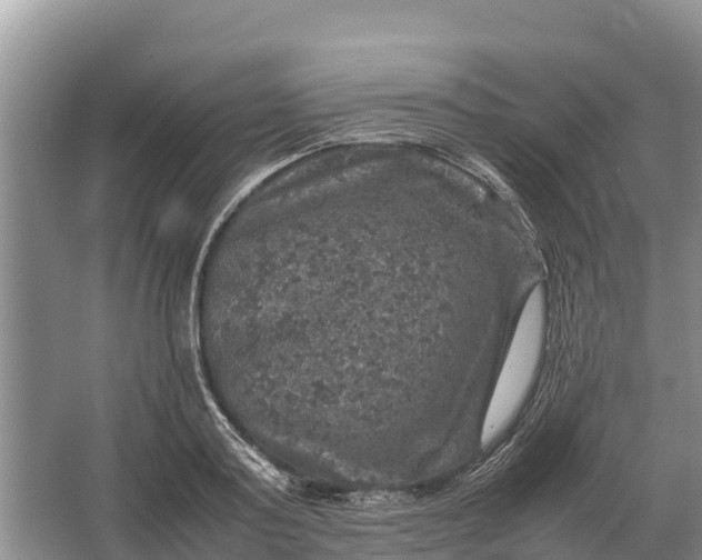 X0000064770795200602241952