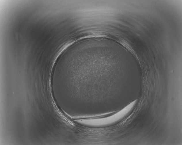 X0000064770797200602241952