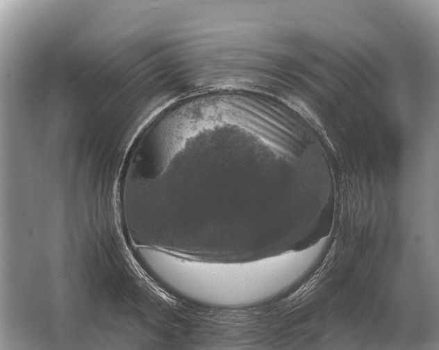 X0000064770798200602241952