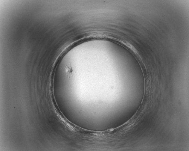 X0000064770799200602241951