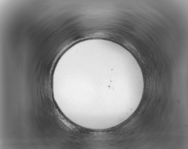 X0000064770800200602241951