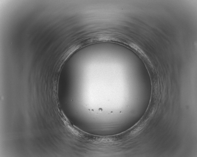 X0000064770801200602241951