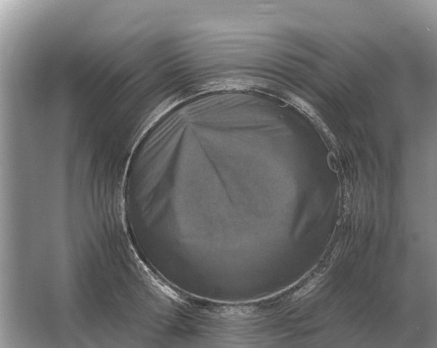 X0000064770802200602241951