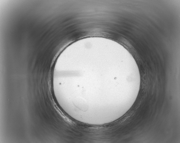 X0000064770804200602241951