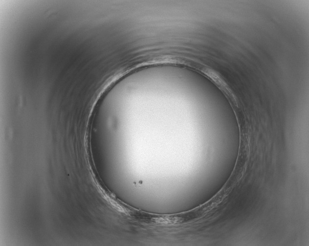 X0000064770805200602241951