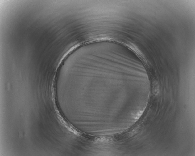 X0000064770806200602241951