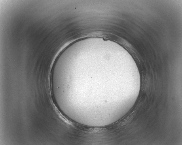 X0000064770808200602241951