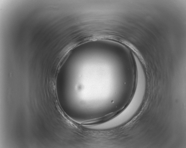 X0000064770809200602241951