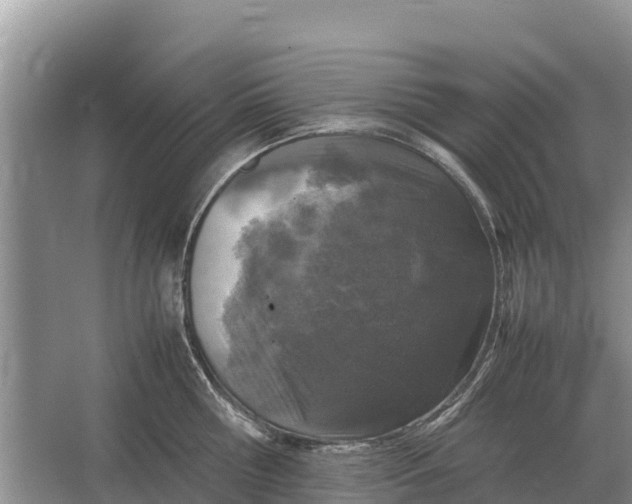 X0000064770810200602241951